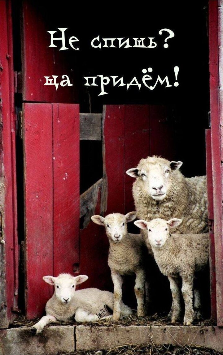 Мы чувствуем, как с каждым днем накал предпраздничной суеты нарастает!! И предлагаем вам немного остановиться… Выдохнуть