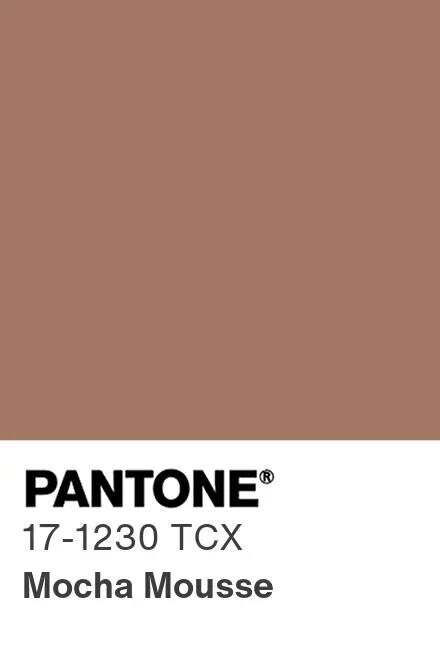 Опантонимся? На 2025 год Институт цвета Pantone выбрал PANTONE 17-1230 Mocha Mousse, согревающий коричневый оттенок, про