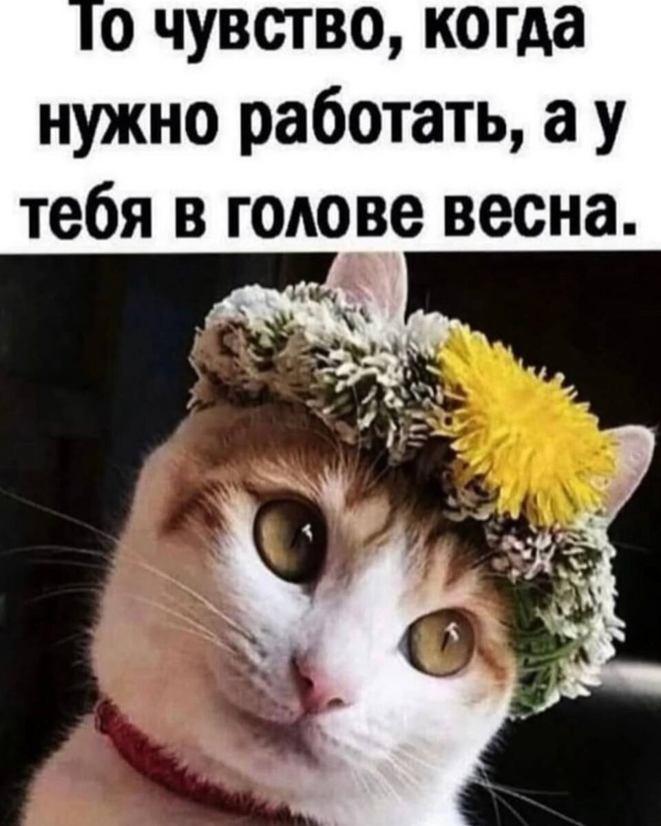Всем доброе утро
