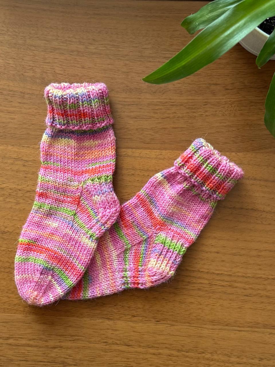My First Regia: первая любовь для самых маленьких ножек