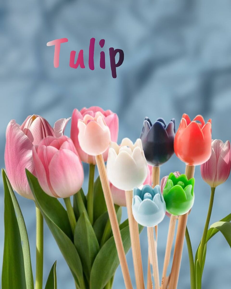 Цветы всегда приятно получать, особенно когда это Tulip