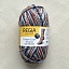 Regia Cotton Color Around the World 4-ply 100 г