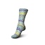 Regia Day Dreaming Color 4-ply 100 г