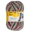 Regia Gargia Color Design Line by Arne&Carlos 4-ply 100 г