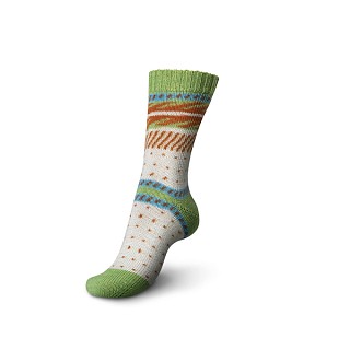 Regia Pairfect Nordland Colors by Arne&Carlos 4-ply 100 г