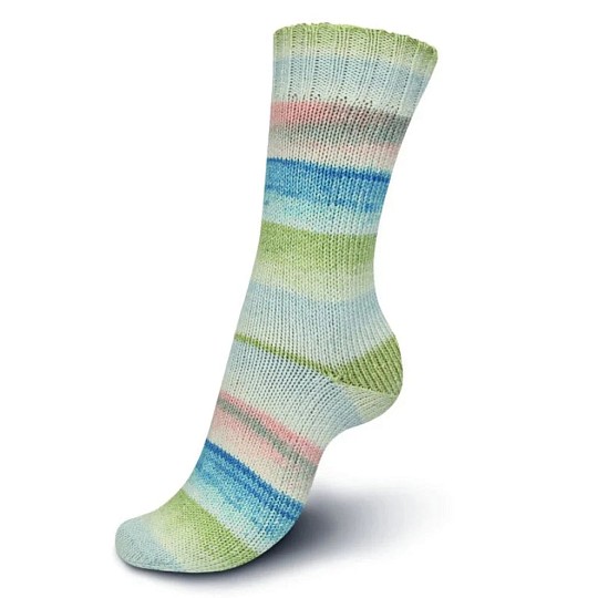 Regia Cotton Color Bloomy 4-ply 100 г