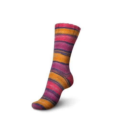 Regia Hit The Road Color 4-ply 100 г