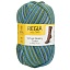 Regia Virtual Reality Color 4-ply 100 г