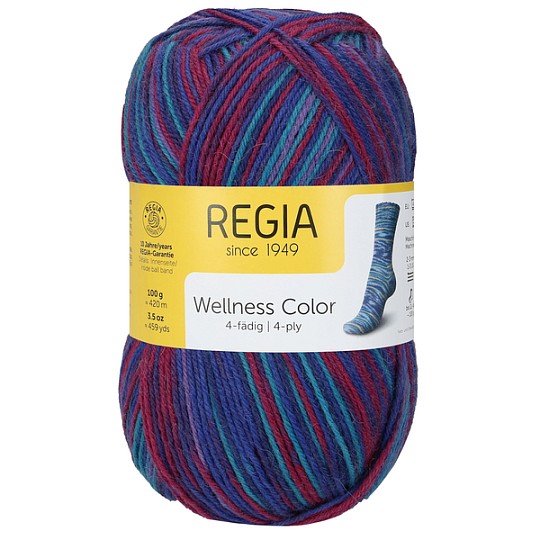 Regia Wellness Color 4-ply 100 г