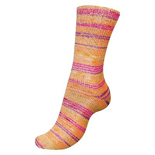 Regia Cotton Color Summer Breeze 4-ply 100 г