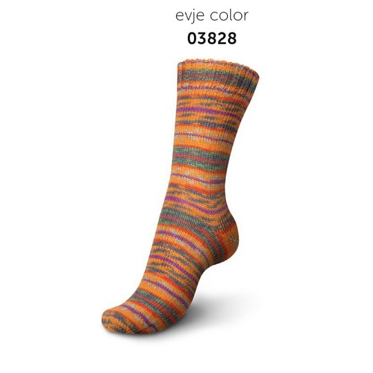 Regia Setesdal Color Design Line by Arne&Carlos 4-ply 100 г