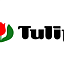 Крючки Tulip